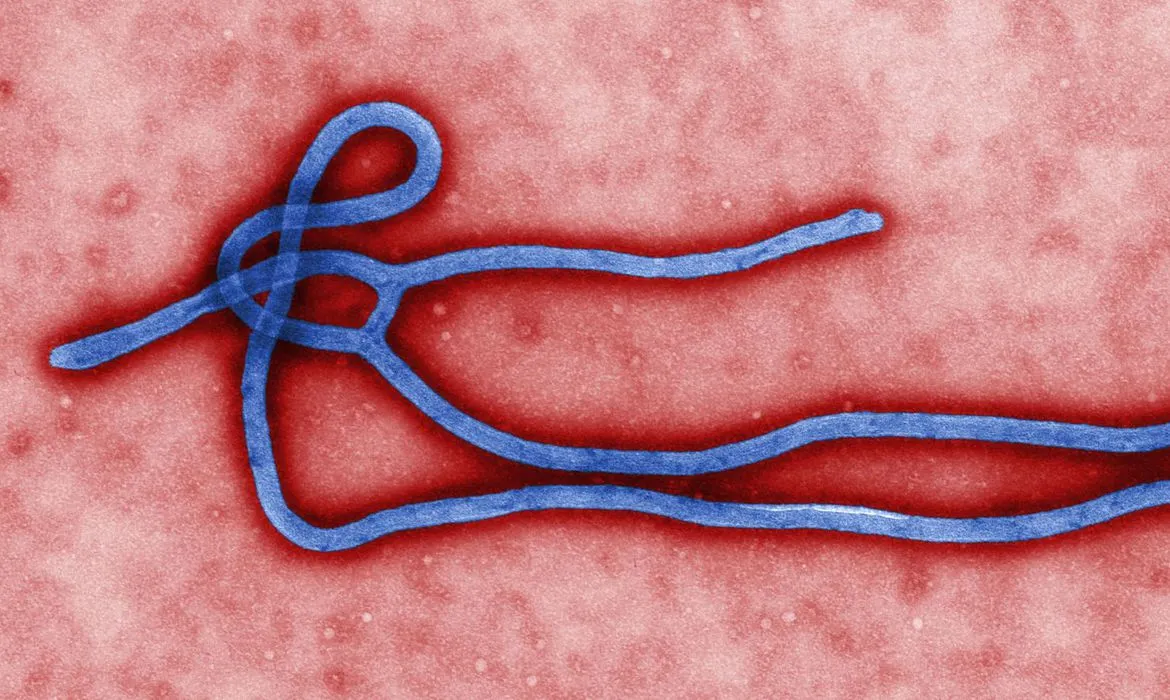 República Democrática do Congo declara um novo surto de Ebola