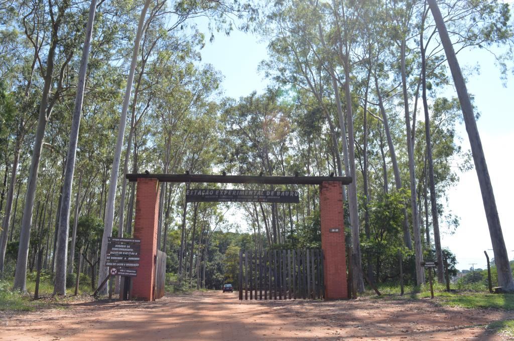 Horto Florestal está com novo espaço para visitação em Bauru