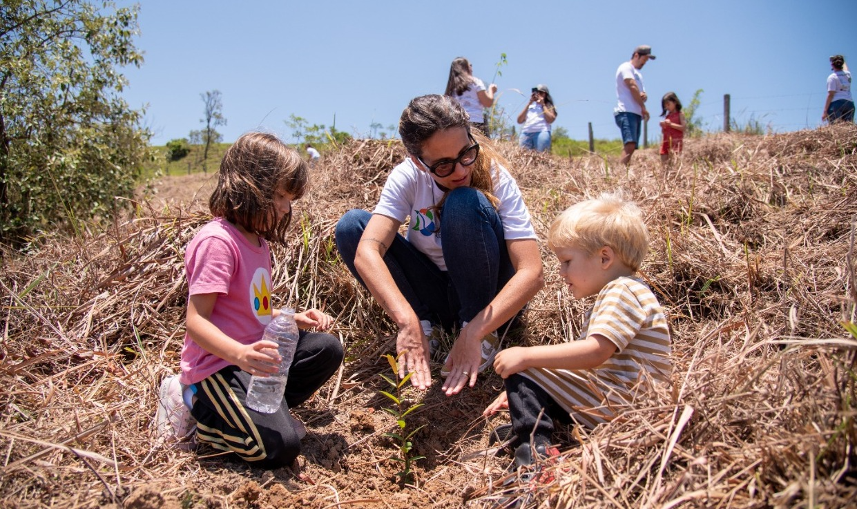 Até o primeiro semestre de 2023, o objetivo é plantar 80 mil árvores na região Imagem/ Fábio Rizzato