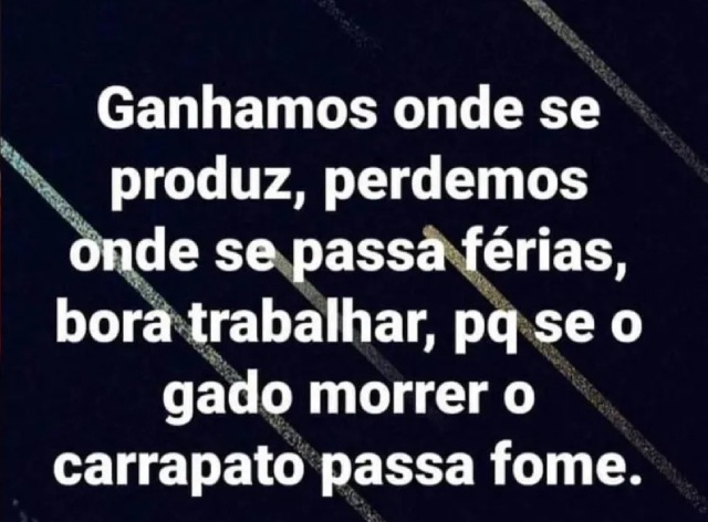 Post de Ângela Machado sobre o povo nordestino Reprodução