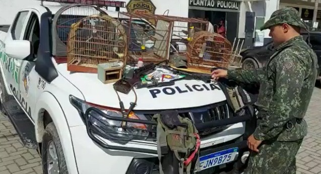 As aves foram destinadas ao Cetas Animalias e os equipamentos apreendidos pela polícia Divulgação/ PM Ambiental