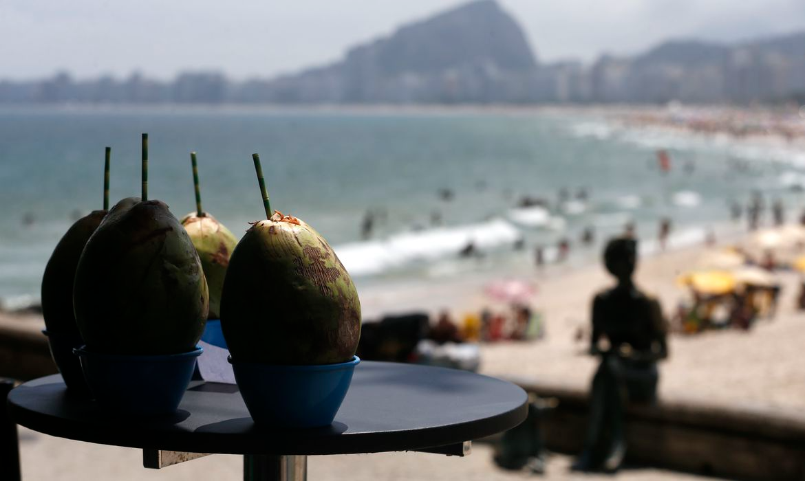 Os números animam o setor, que já vinha notando maior movimentação de turistas de fora.  Foto: Agência Brasil