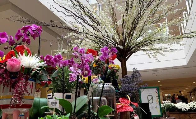Exposição no CenterVale Shopping celebra a Estação das Flores