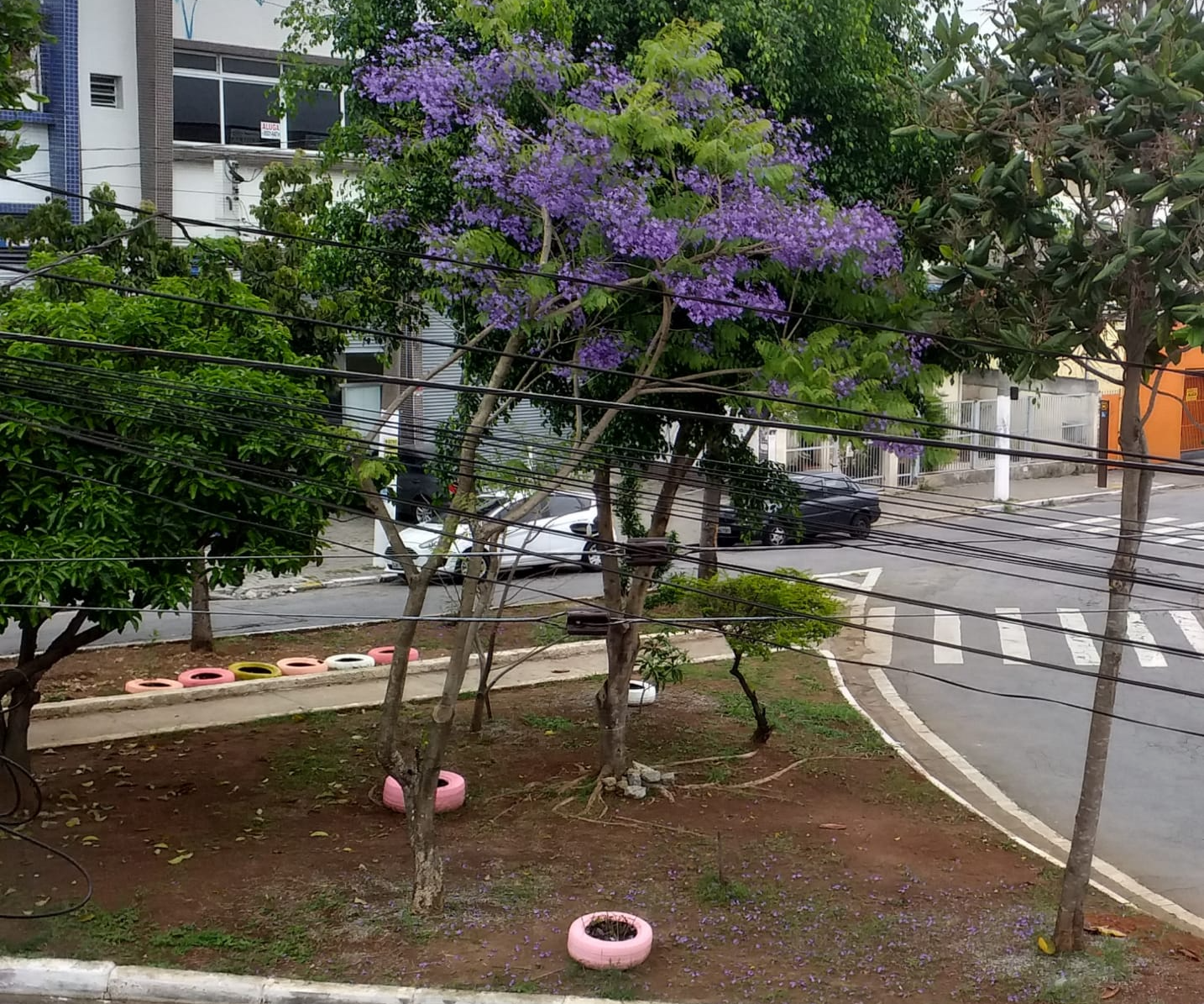 Vizinhos transformam praça abandonada em área de lazer para moradores da zona leste de São Paulo. Foto: Ouvintes da Rádio BandNews FM