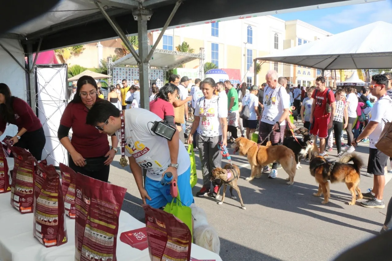 Dog Fashion Day acontece neste domingo em São José dos Campos Divulgação