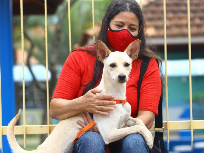 Animais serão castrados nos dias 16 e 17 de outubro Claudio Vieira/PMSJC