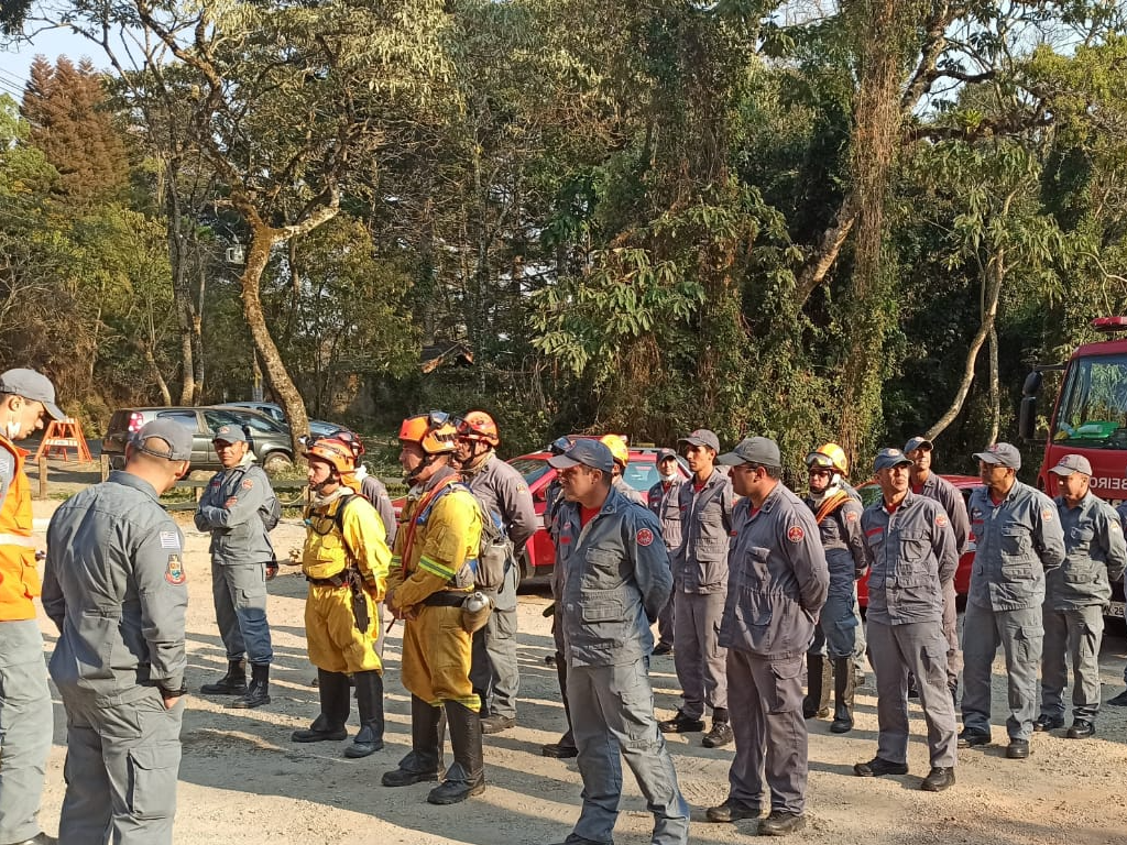 Equipes do Corpo de Bombeiros, Defesa Civil e voluntários tentam controlar as chamas Divulgação/Defesa Civil