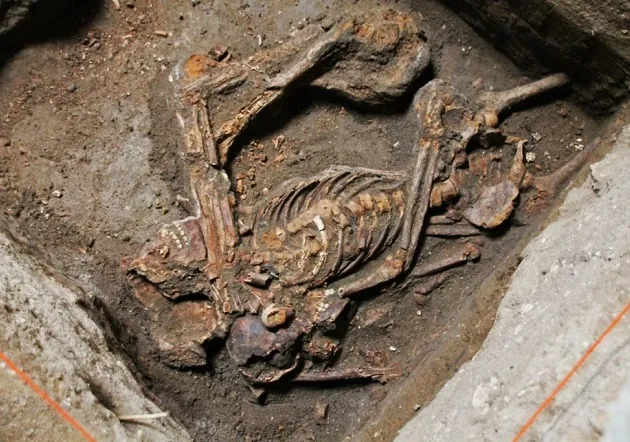 Relíquia arqueológica encontrada no Cemitério dos Pretos Novos.