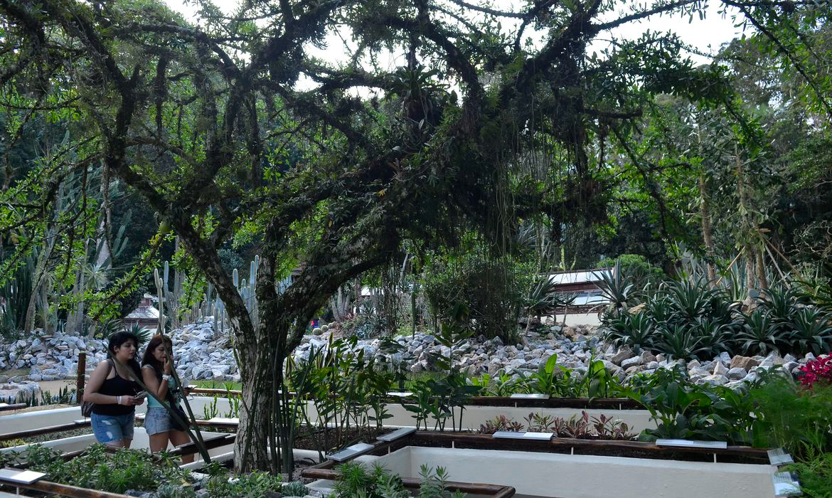 Evento é um projeto de outono do Jardim Botânico Tomaz Silva/Agência Brasil