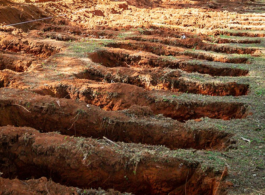 Covas no cemitério Vila Formosa Antonio Molina/FotoArena/Estadão Conteúdo