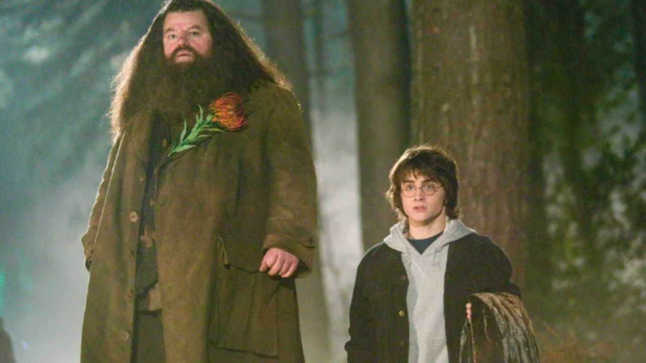 Robbie Coltrane ficou conhecido pelo seu papel Hagrid na saga "Harry Potter Reprodução