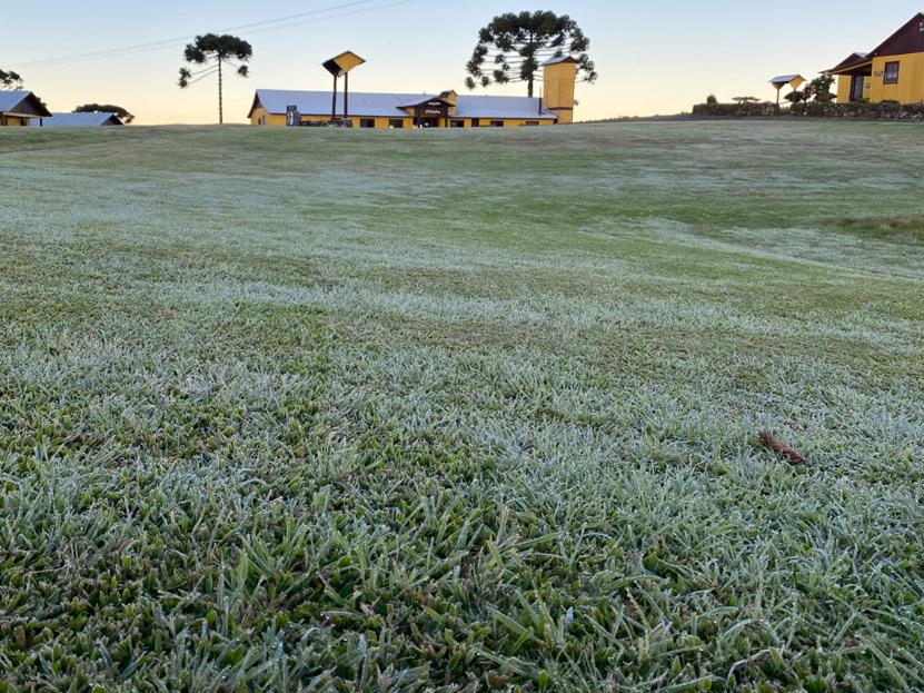 Frente fria cria paisagens cobertas de geada, semelhante a flocos de neve Divulgação 