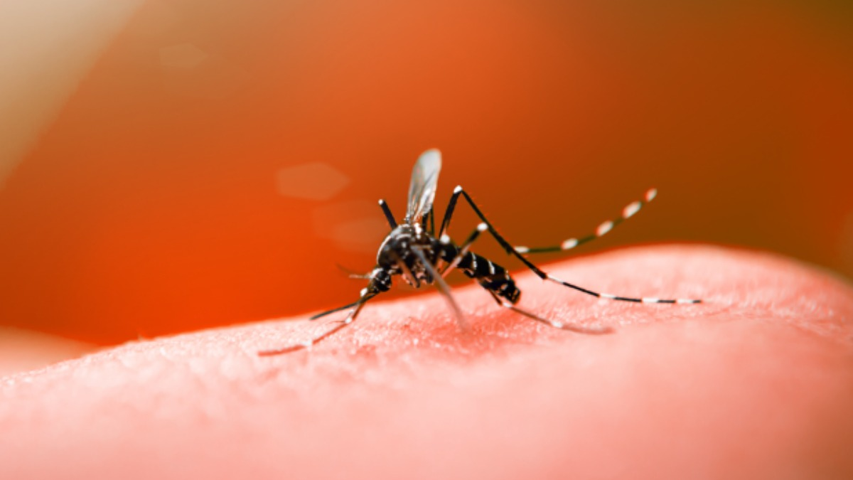 Em apenas 5 meses, MG tem mais mortes por dengue do que 2021 todo