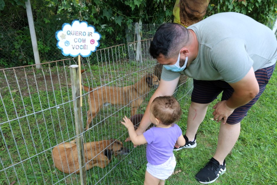 Sábado tem feira de adoção de animais em São José dos Campos Divulgação