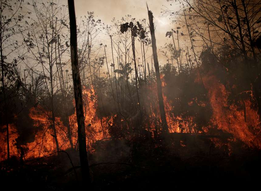 Queimadas na Floresta Amazônica Foto: Reuters