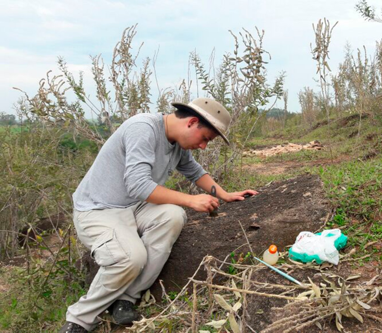 Nova espécie de dinossauro anão foi descoberta no Interior Paulista Foto: Bruno Navarro