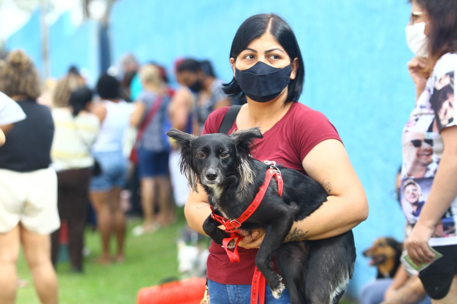 São José dos Campos abre inscrições para castração de cães e gatos 