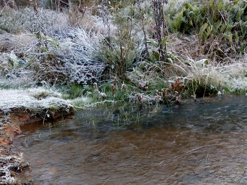 Com frio intenso Campos do Jordão registra geada  Alexandre/ Ouvinte Stereo Vale FM