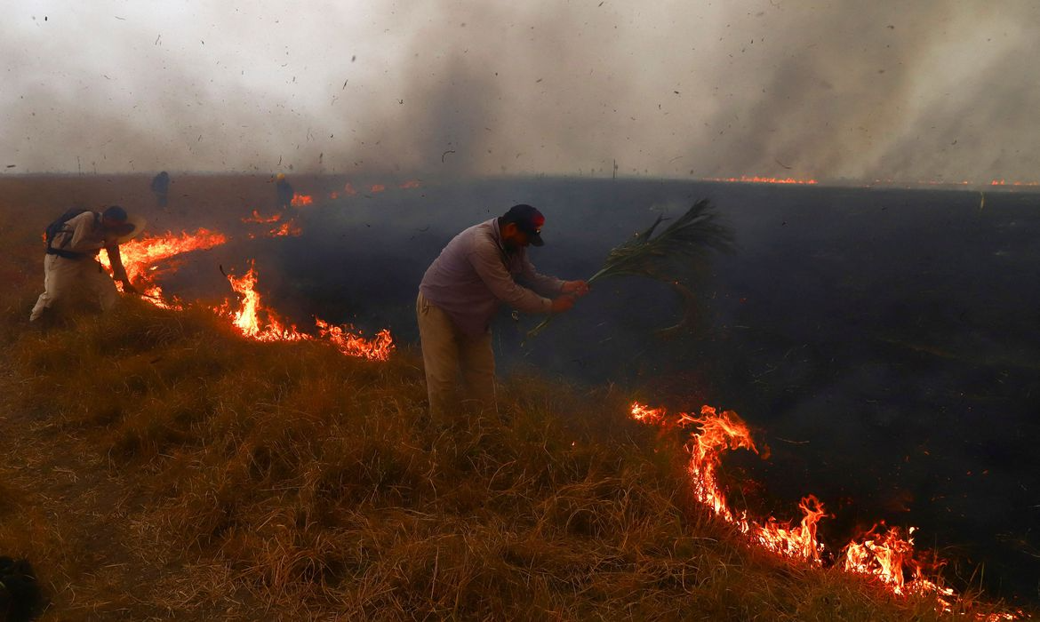 Os incêndios já consumiram pelo menos 800 mil hectares Foto: Reuters