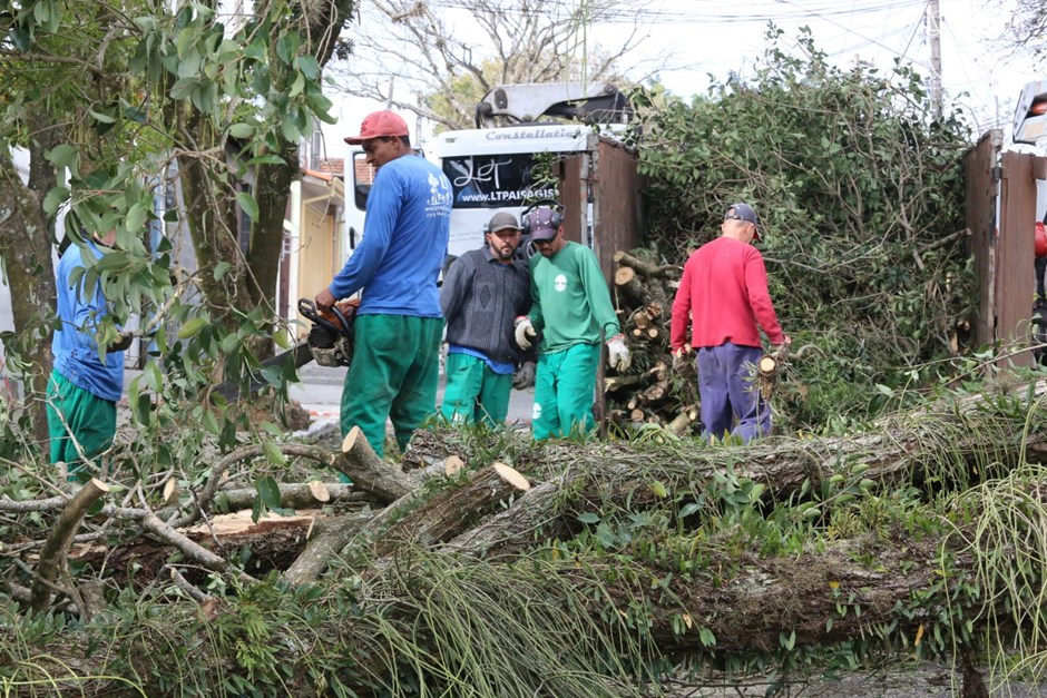 Ventania derruba árvores e atinge casas em São José dos Campos