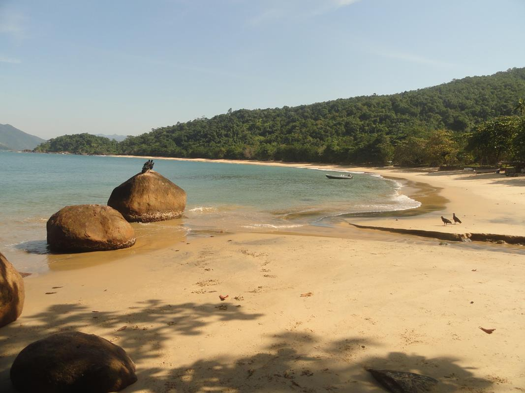 Homem bate a cabeça ao pular de lancha e é socorrido pelo águia em Ubatuba Reprodução/ Prefeitura de Ubatuba