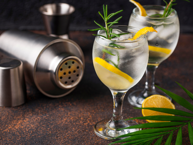 Aprenda a fazer gin tônica e outras bebidas Envato Elements