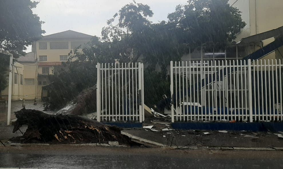 Chuva derruba árvore em cima de pronto-socorro infantil de Taubaté