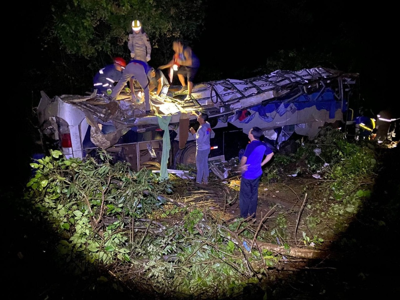 Veículo capotou e parou em uma ribanceira após sair da pista Foto: Reprodução