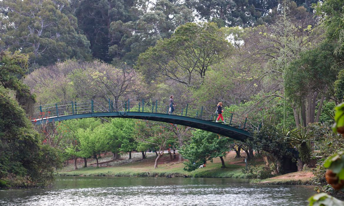 Parque Ibirapuera Agência Brasil