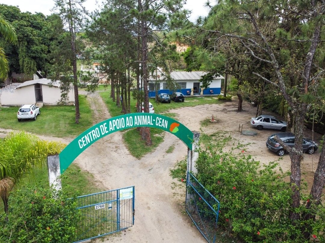 Ação atenderá dois animais por CPF dos moradores de 13 bairros  Divulgação/Prefeitura de Cruzeiro 