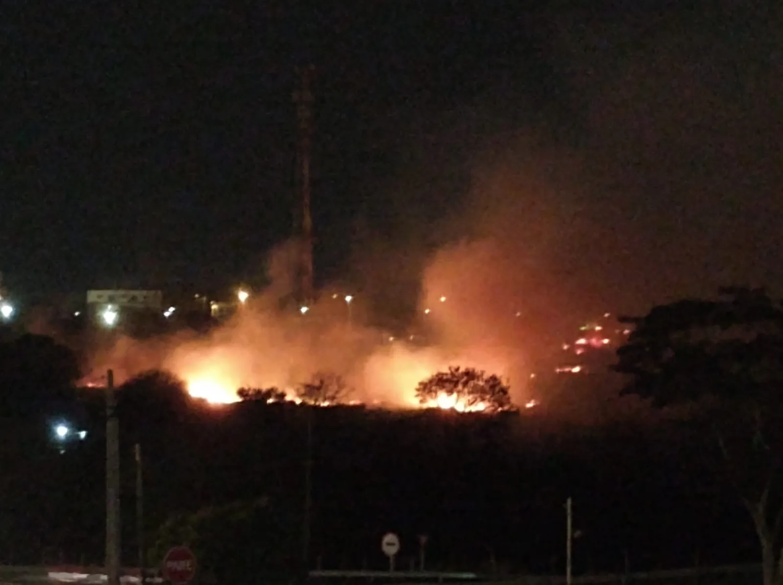 Fogo em área de vegetação podia ser visto de longe