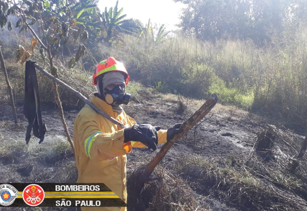 Incêndio atingiu uma área de 10 mil metros quadrados em Quiririm Divulgação/Corpo de Bombeiros