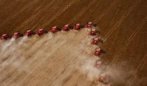 Produção de cereais, leguminosas e oleaginosas deve subir 3,4% Sudeco