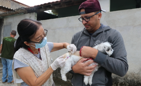Equipes da Vigilância de Zoonoses aplicarão vacina antirrábica em cães e gatos