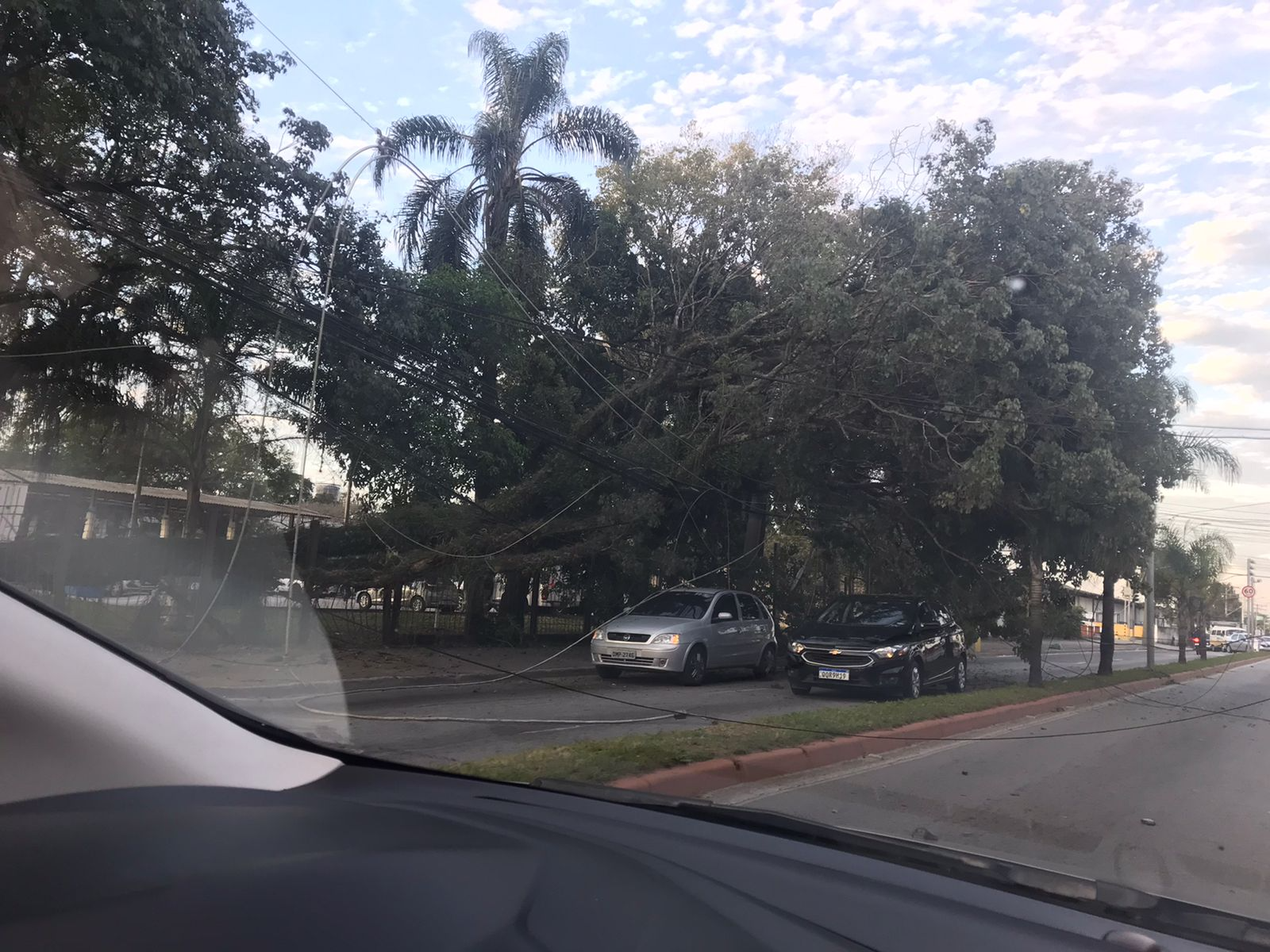 Árvores caíram no fim da tarde; incidente afeta o trânsito na região  Divulgação/Band Vale