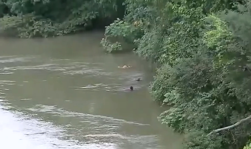 Testemunha filmou perito sendo sequestrado antes de ser encontrado morto em rio
