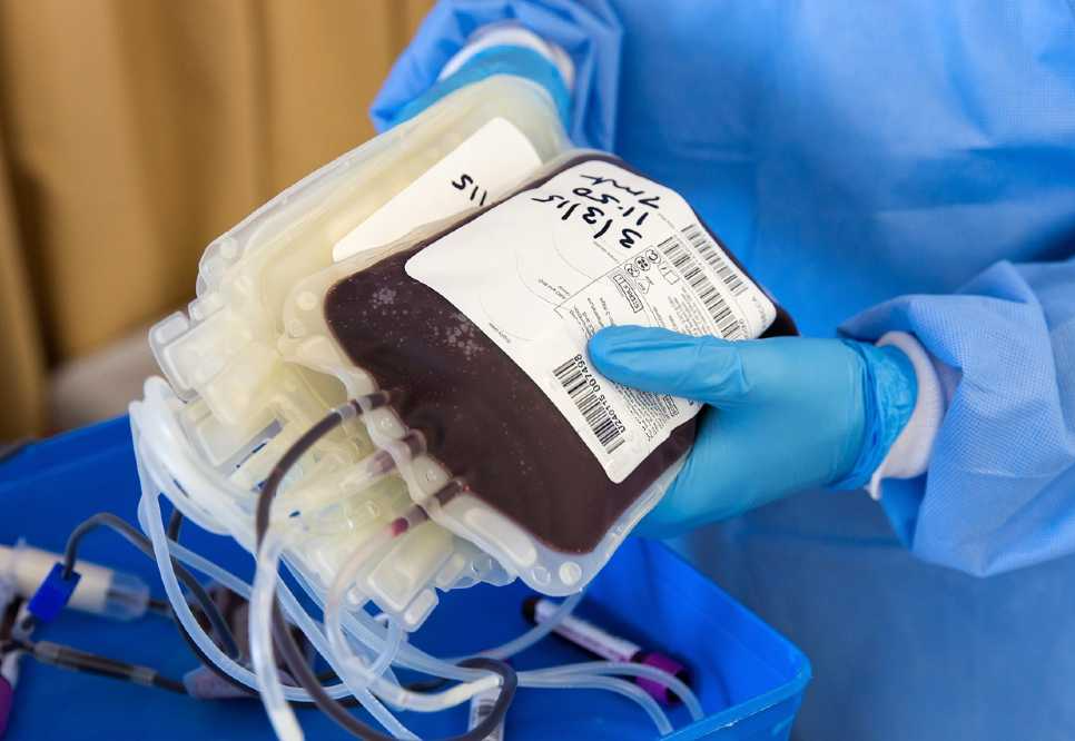 Se a pessoa tomar qualquer vacina, é preciso esperar alguns dias para doar sangue
