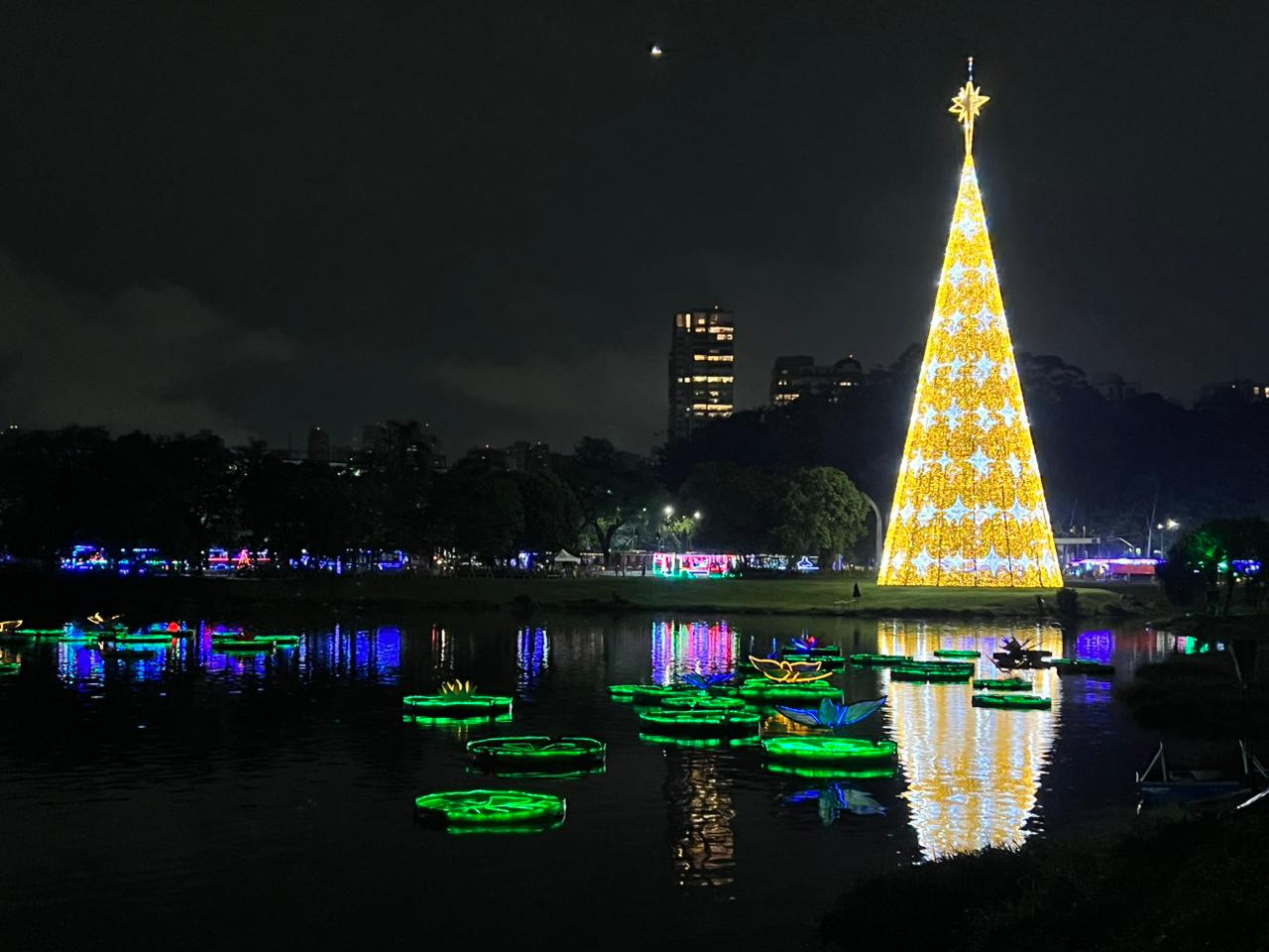 Com 57 metros, árvore de Natal do Ibirapuera é inaugurada e é a maior da  cidade de SP; entrada é gratuita, Guia SP