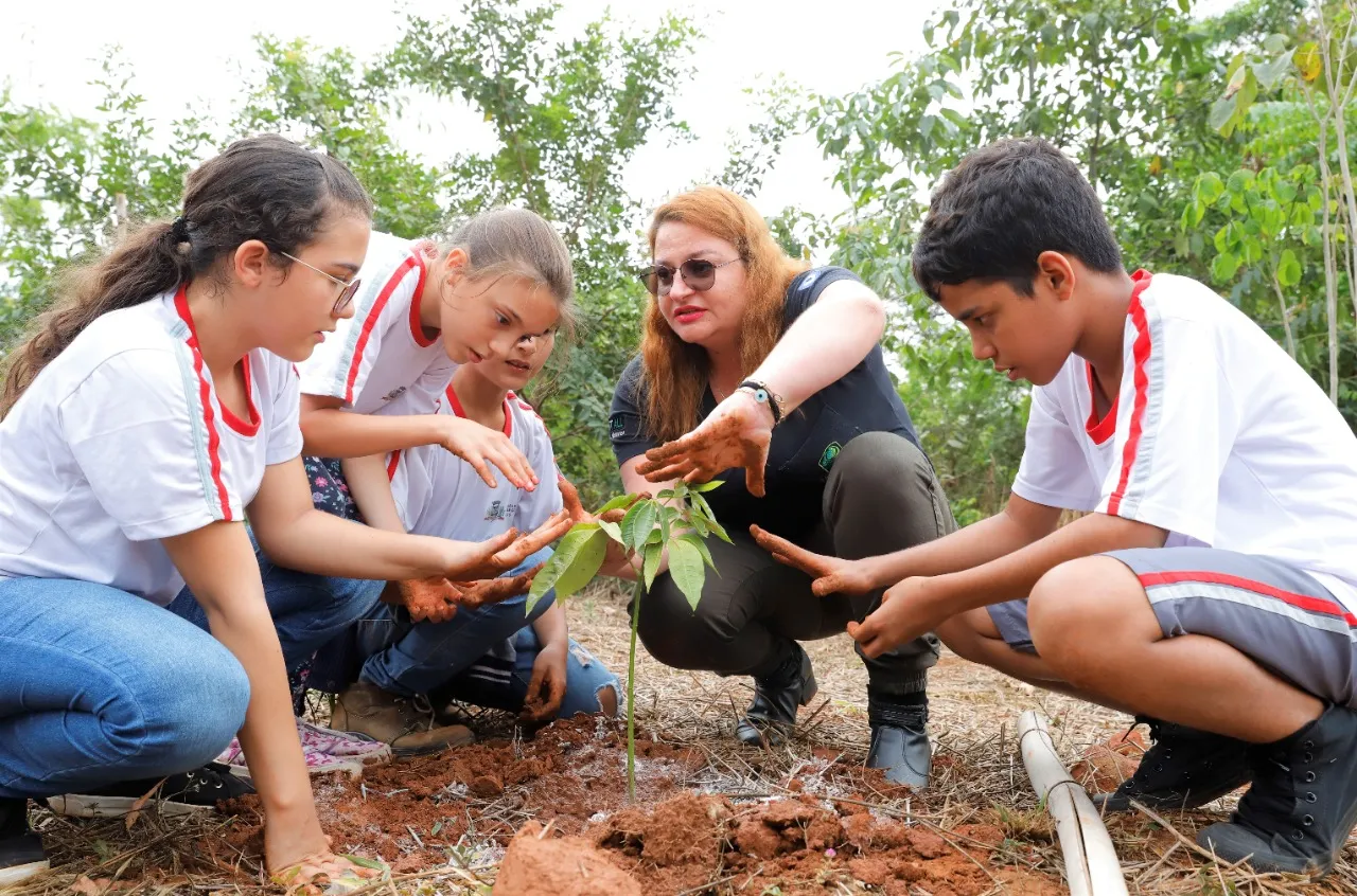 A iniciativa faz parte do Projeto Plantando Água