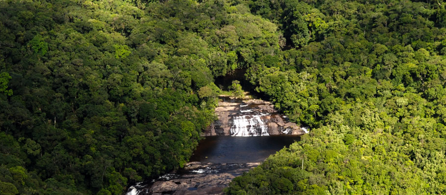 Local é considerado o maior espaço de Mata Atlântica conservada do Brasil Divulgação